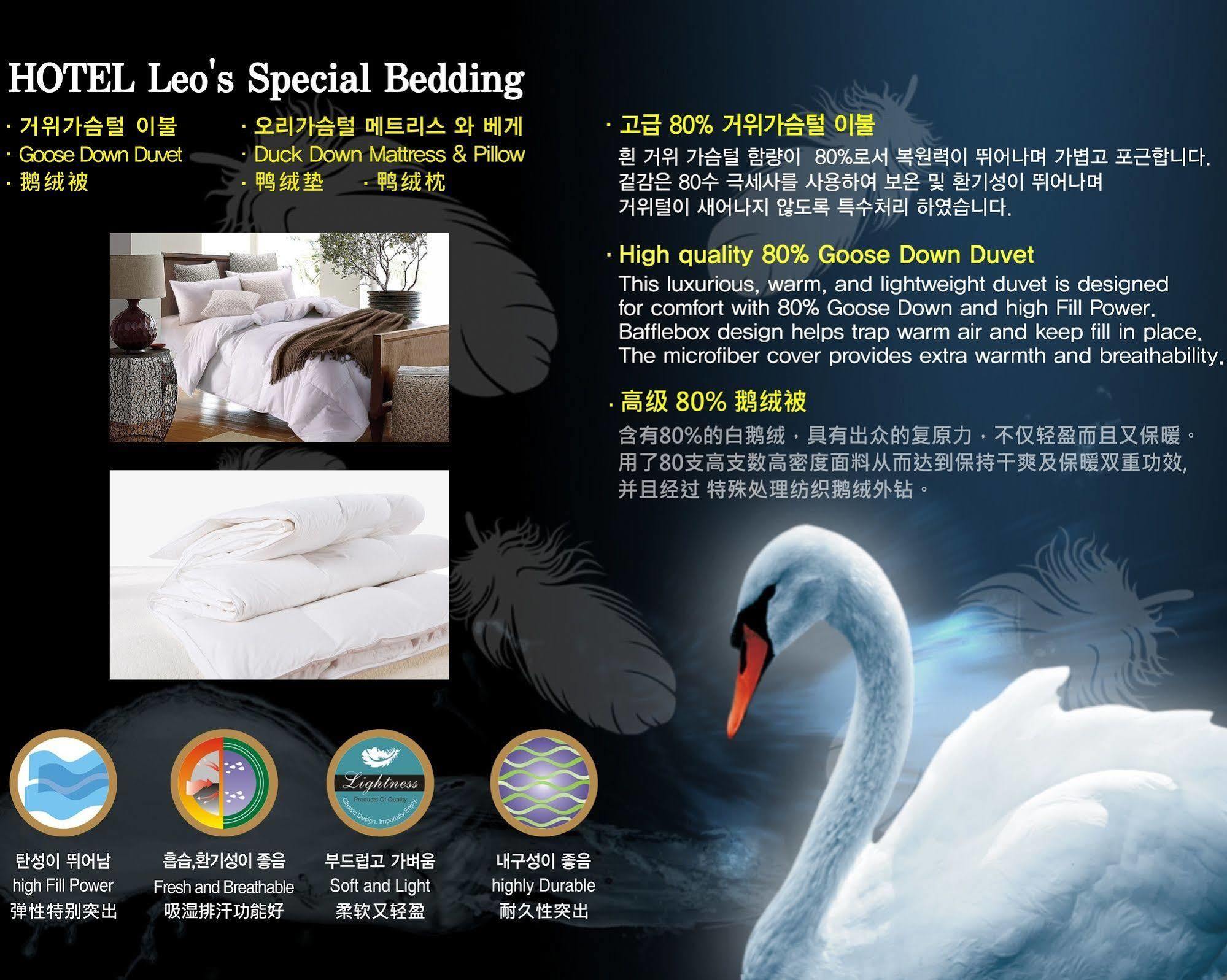 Leo 4* Jeju